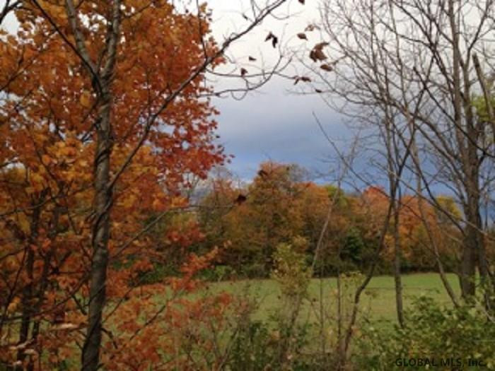 Kilts Road Sharon Springs, NY 13459 - Photo 3 of 4 Photo 3