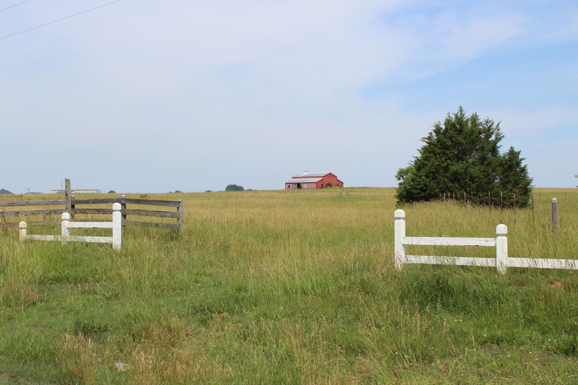 Lot 5 Ted Smith Road Rutherfordton, NC 28139 - Photo 10 of 26