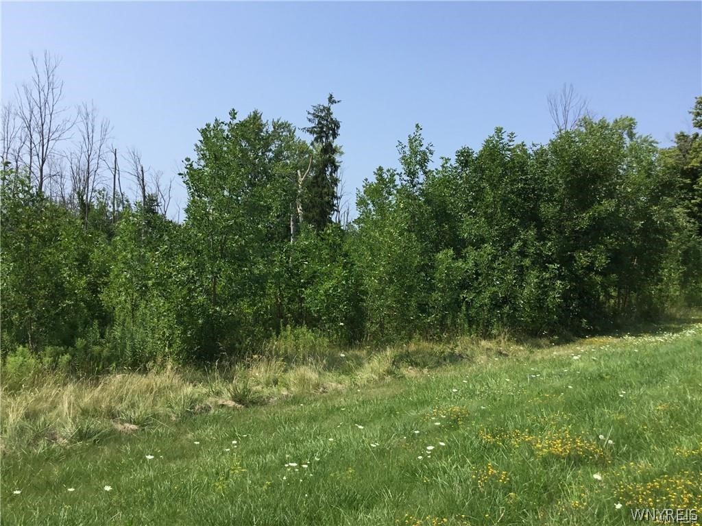 8996 Erie Road Evans, NY 14006 - Photo 1 of 9