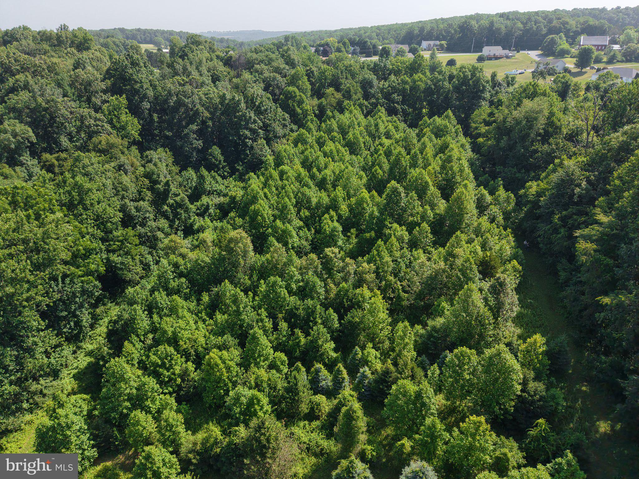 501 Tracey Road Hanover, PA 17331 - Photo 7 of 8 Lush green forest embracing tranquility.
