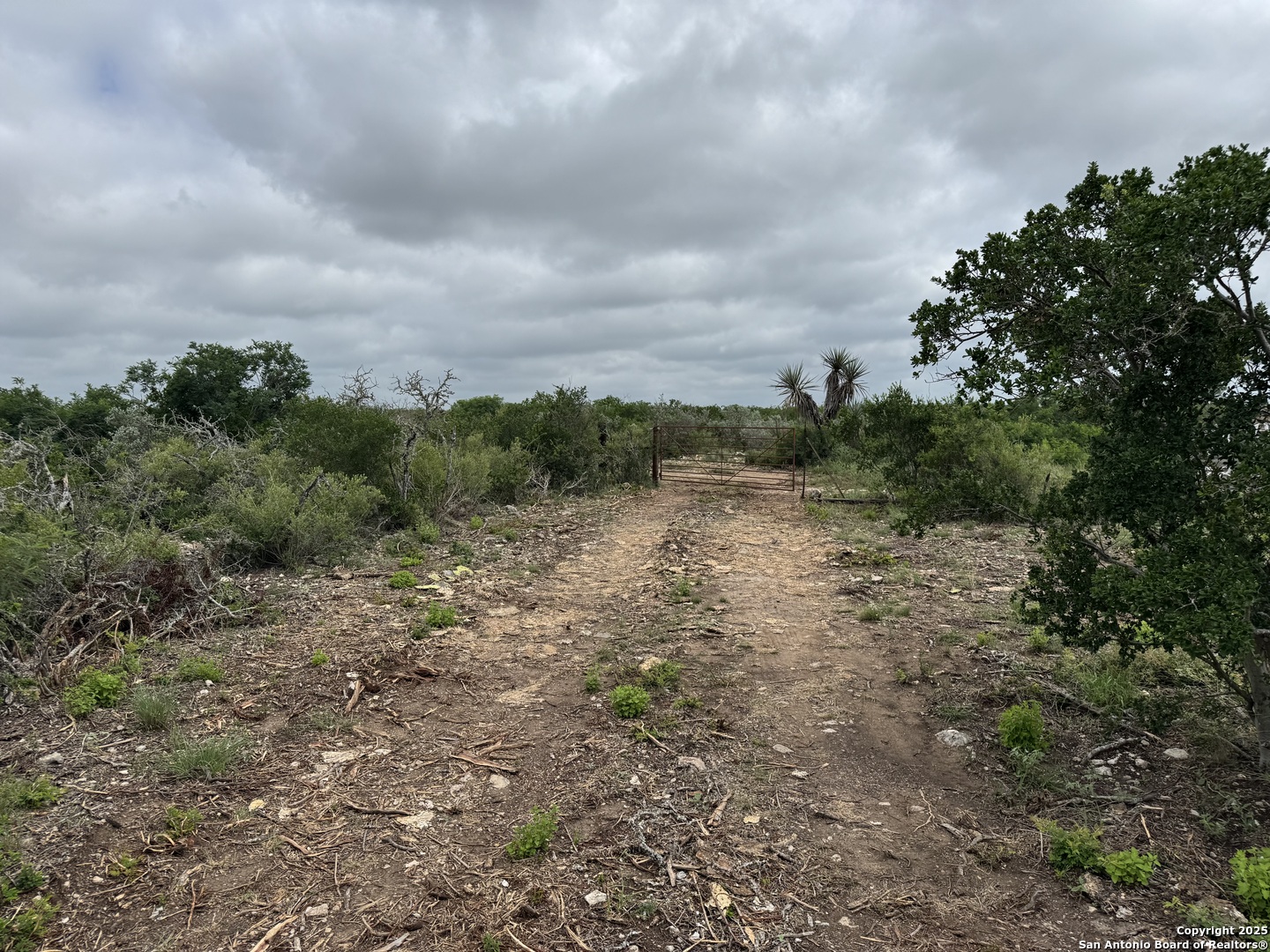 660 Legend Hills Uvalde, TX 78801 - Photo 2 of 13 a view of a yard with plants and a tree