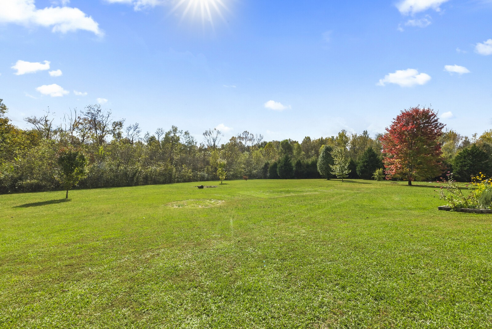 450 Brown Road Lebanon, TN 37087 - Photo 34 of 37 a view of a green field