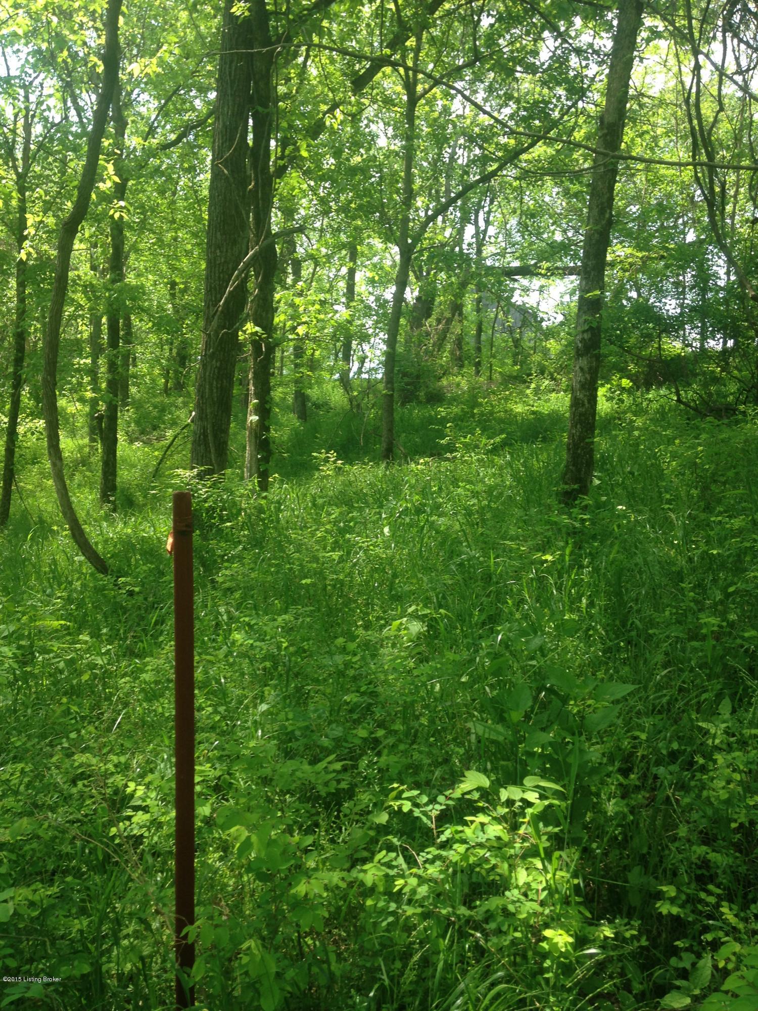 This property Backs up to the Red Line which is the property between Taylorsville Lake and this land. This insures no one can build between you and the water. Its like having the land without having to own it.