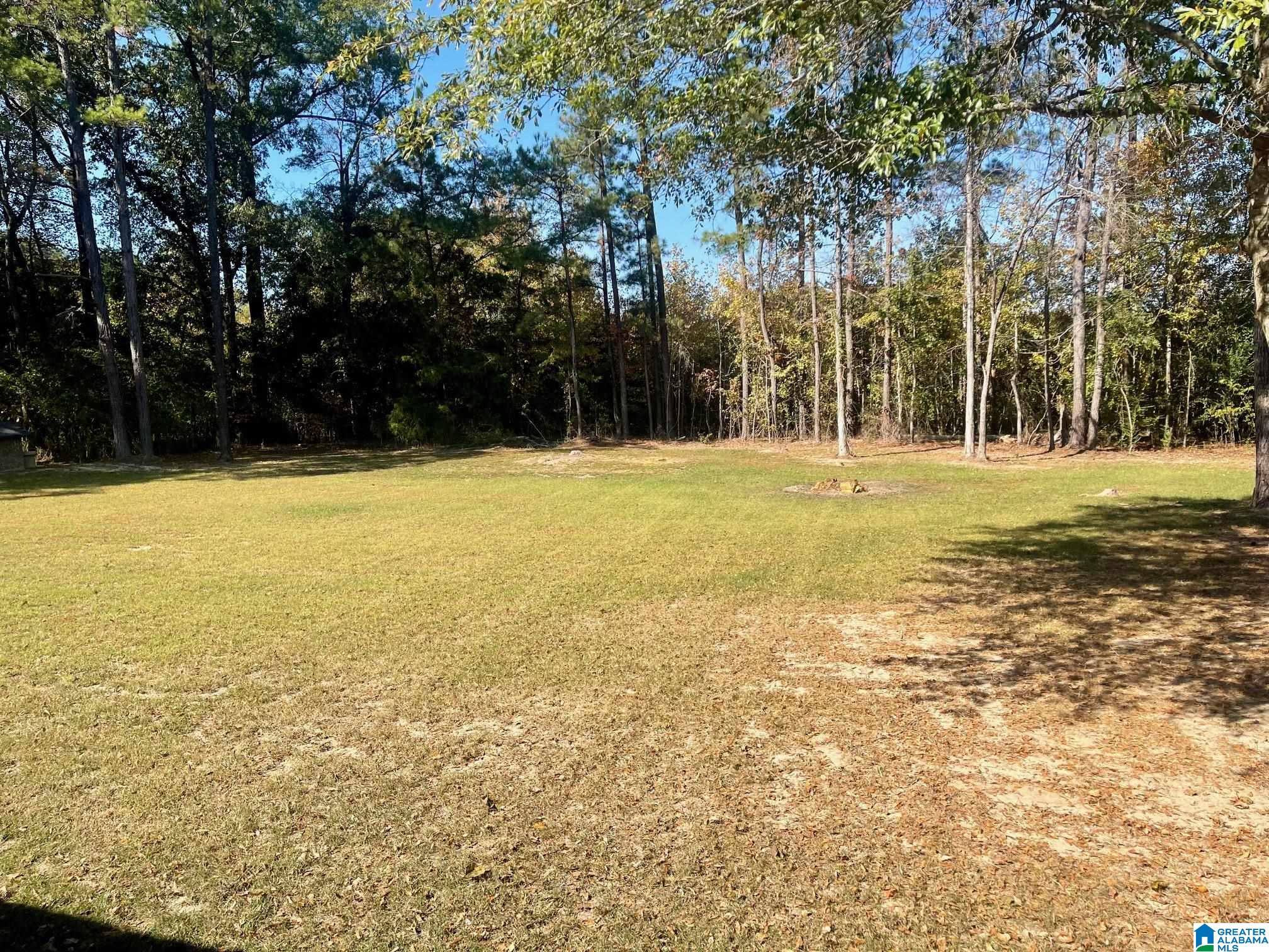 1840 County Road 2 Montevallo, AL 35115 - Photo 12 of 19