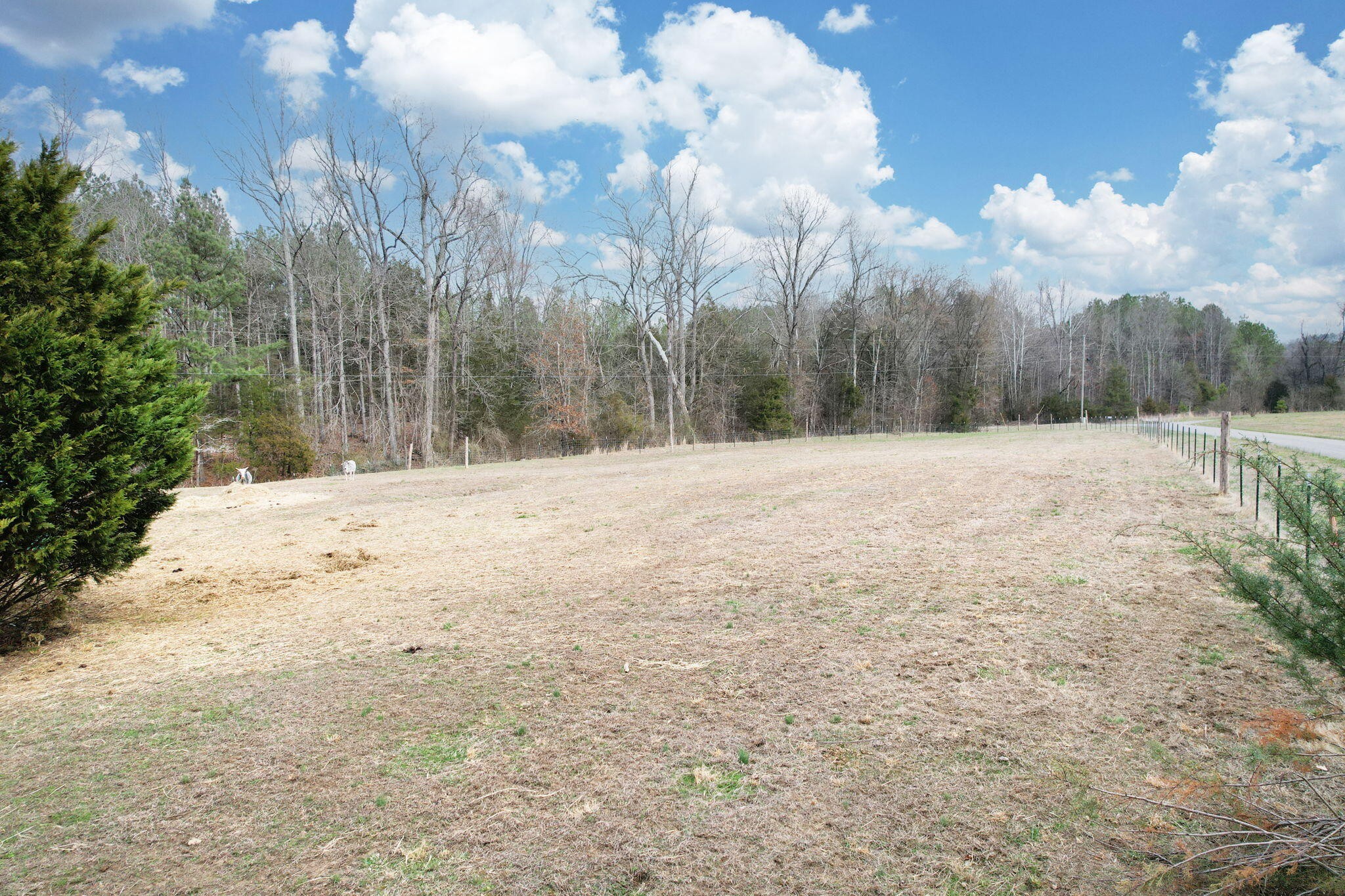 4500 Redman Road Decatur, TN 37322 - Photo 5 of 41 Gallery Image 5