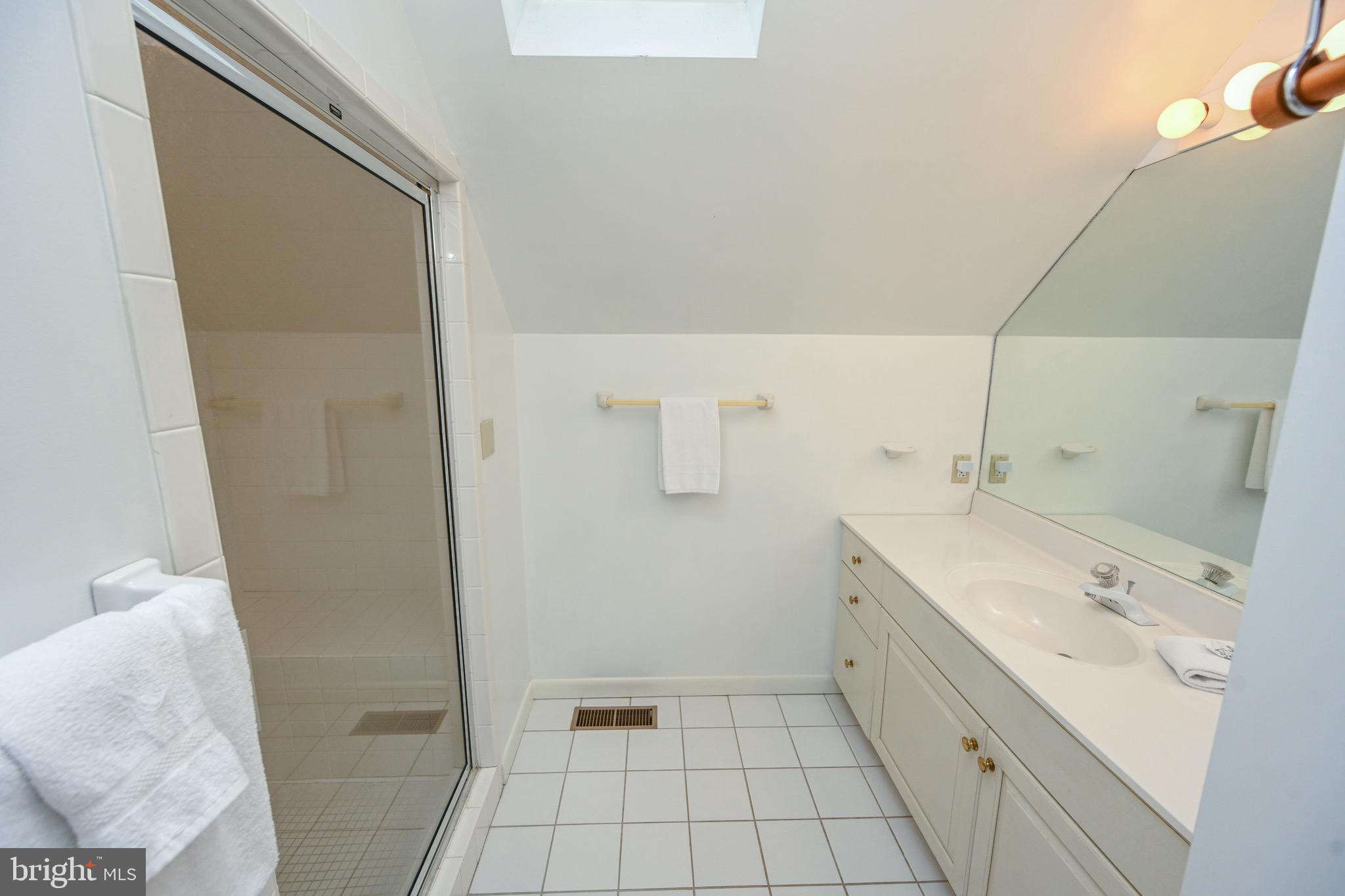 257 Marsh Hill Road, Unit 1 McHenry, MD 21541 - Photo 23 of 50 a bathroom with a sink a toilet and shower
