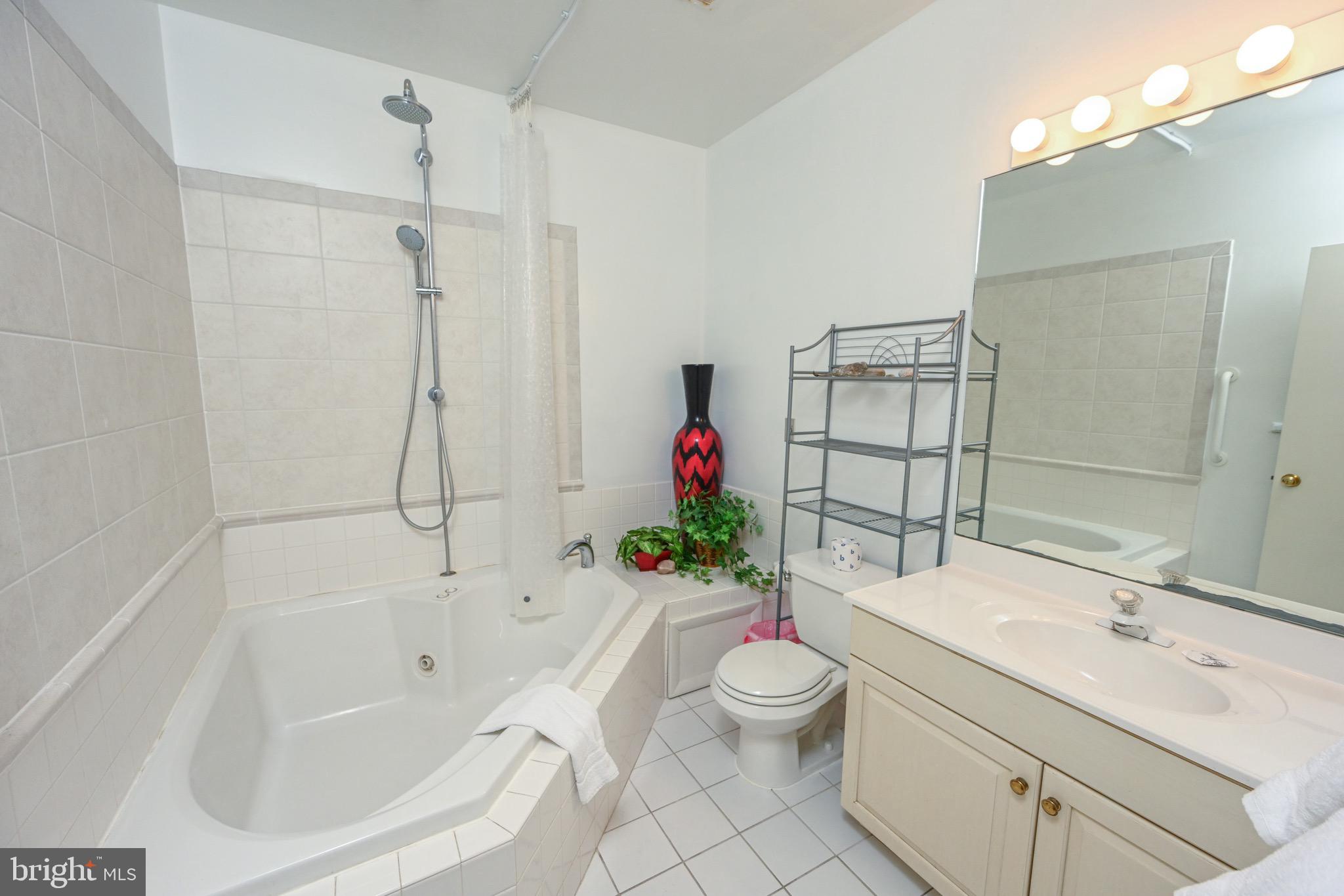 257 Marsh Hill Road, Unit 1 McHenry, MD 21541 - Photo 31 of 50 a bathroom with a sink mirror toilet and bathtub