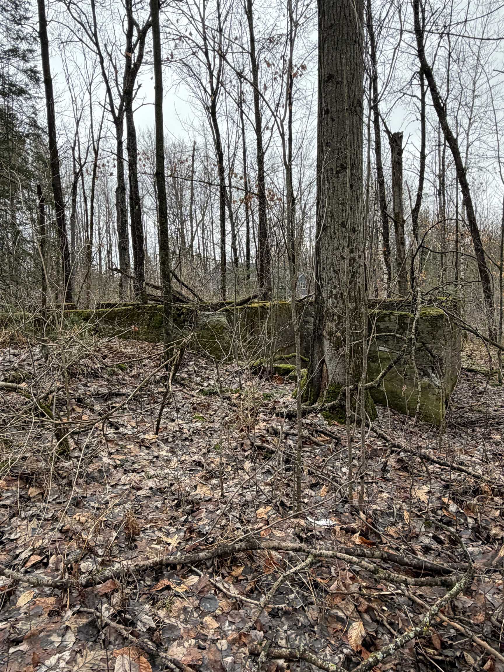 Tbd Tbd Cherry Lane Extension Newport, VT 05855 - Photo 8 of 9