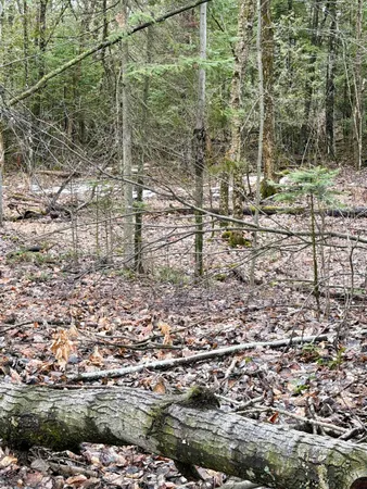 $75,000 | Tbd Tbd Cherry Lane Extension, Newport, VT 05855