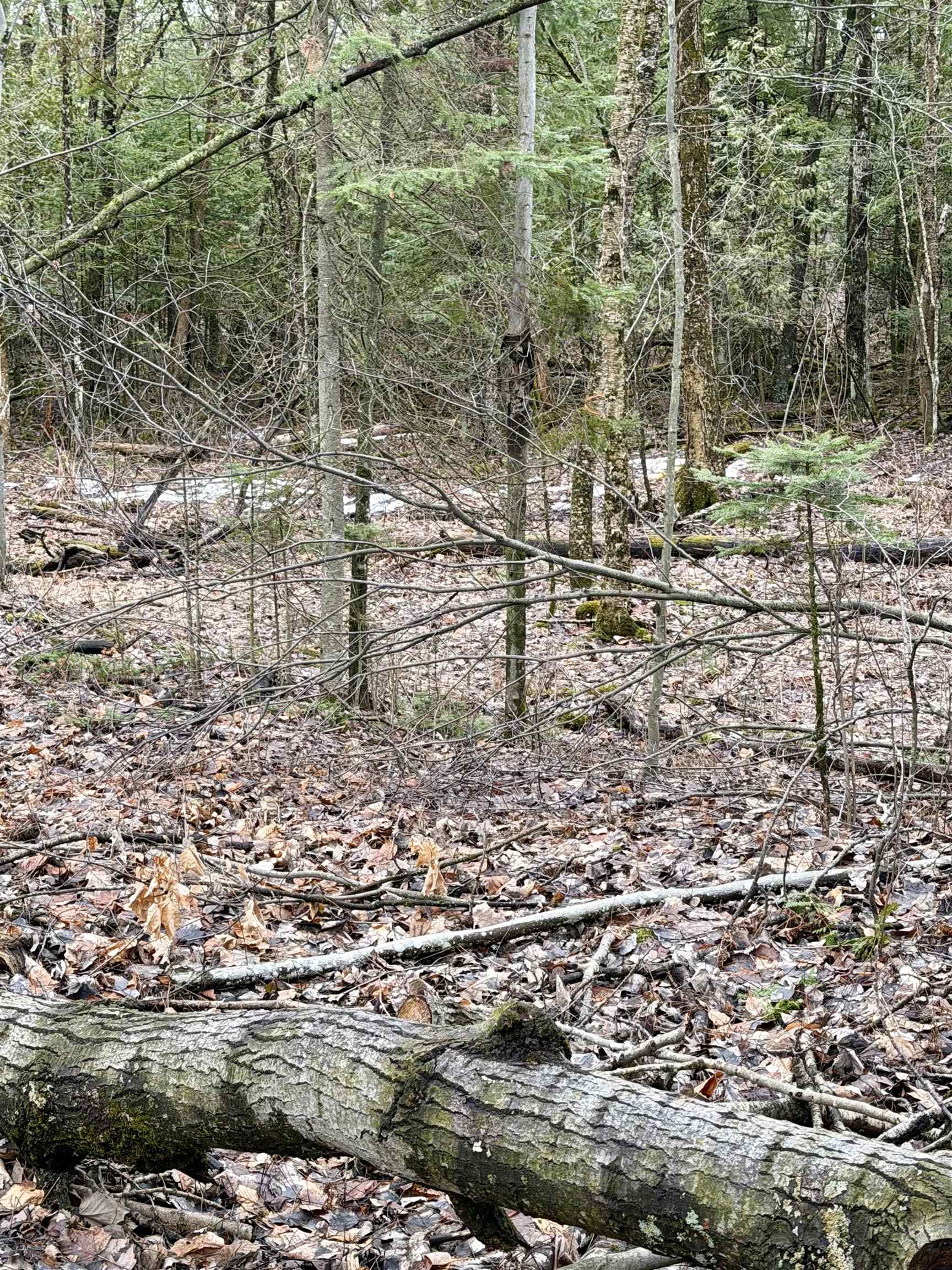 Tbd Tbd Cherry Lane Extension Newport, VT 05855 - Photo 9 of 9