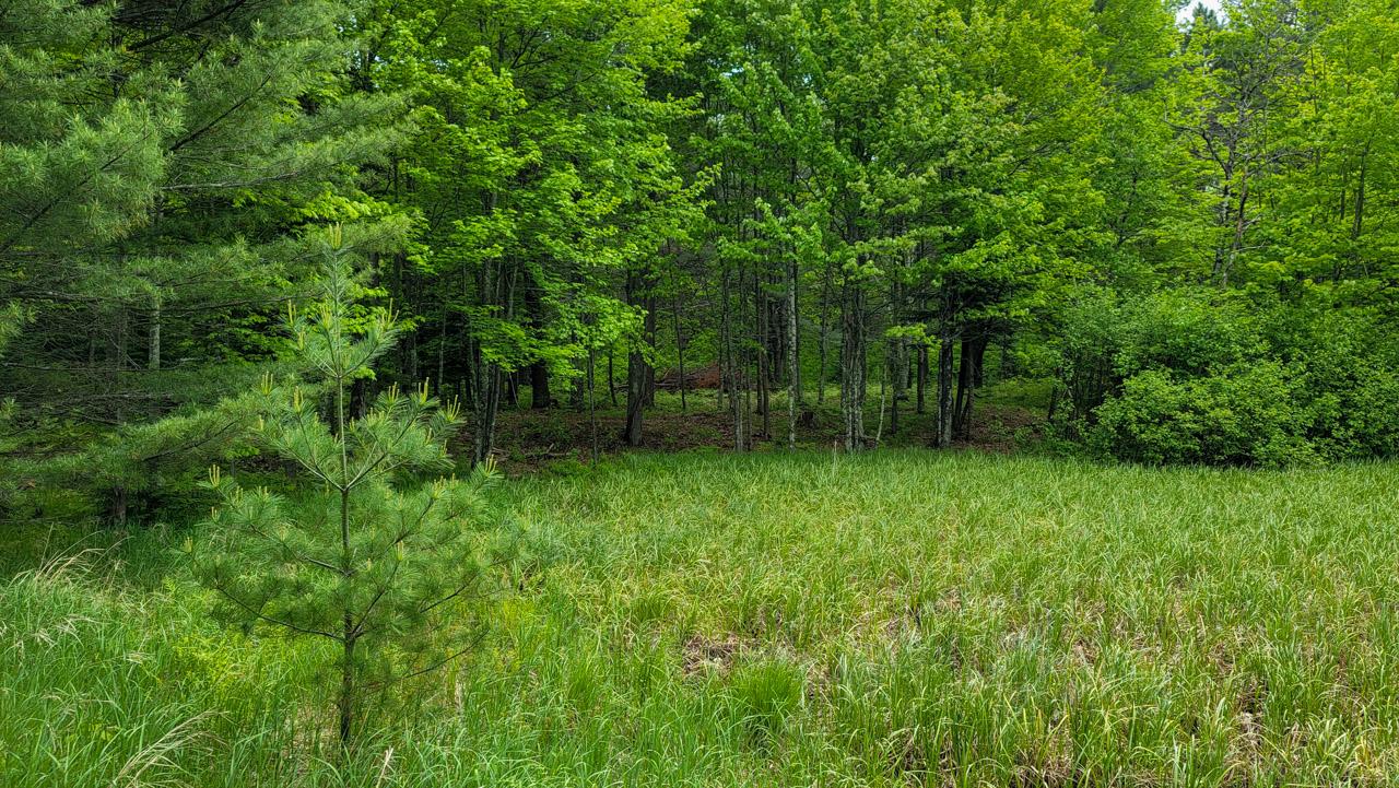 Lot #94 Camp St. George Road Eagle River, WI 54521 - Photo 10 of 10 Gallery Image 10