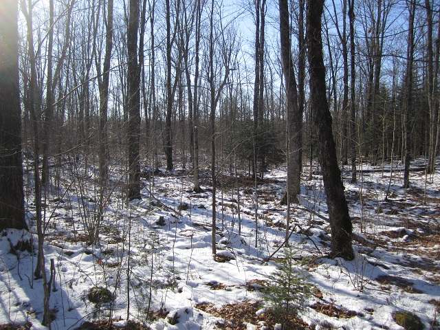 Tbd Off Tbd Off Cth Ff Mercer, WI 54547 - Photo 18 of 20 Gallery Image 18