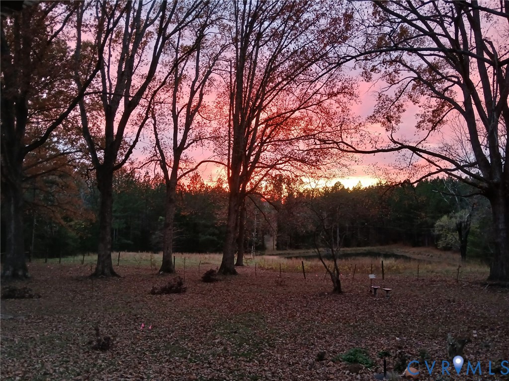 2174 Grubby Road Halifax, VA 24558 - Photo 23 of 25 a backyard of a house with lots of green space
