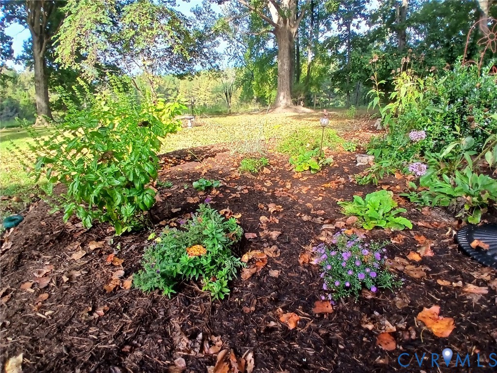 2174 Grubby Road Halifax, VA 24558 - Photo 6 of 25 a view of yard with large trees