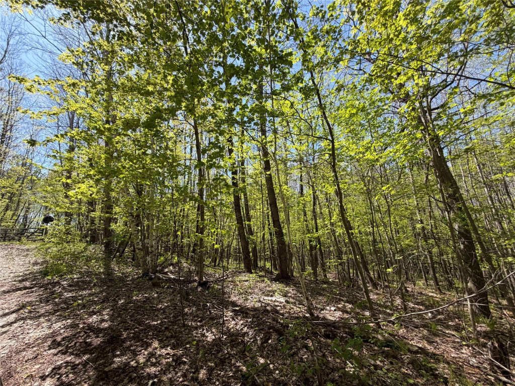 Lot 4 Peterson Road Foxboro, WI 54836 - Photo 5 of 11