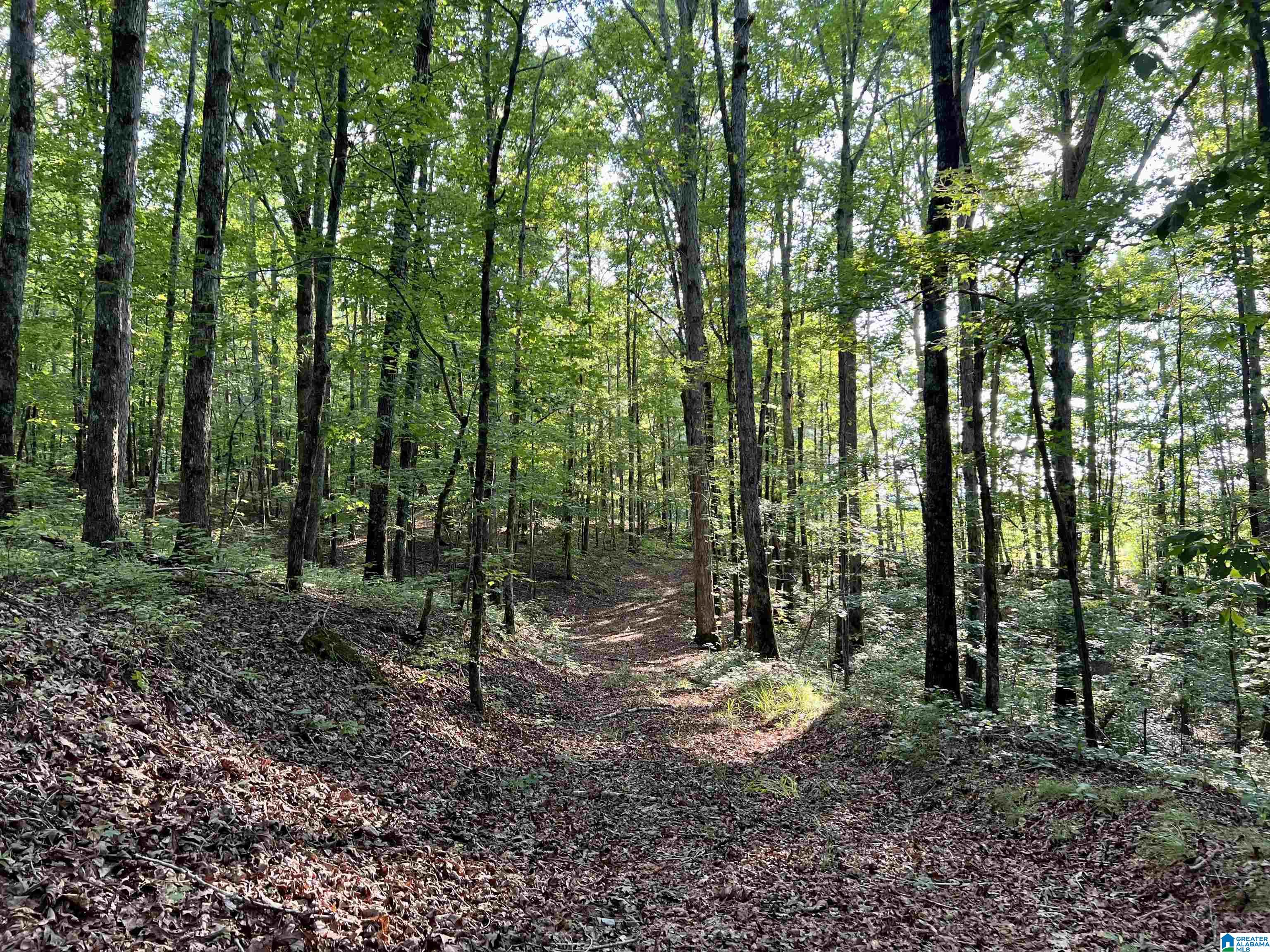 1515 Kelly Ranch Road, Unit 138 ACRES / Talladega, AL 35160 - Photo 23 of 42
