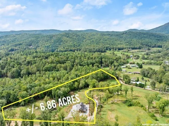 a view of a yard with trees