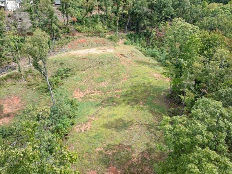 144 David Drive Tiger, GA 30576 - Photo 24 of 71 a view of a yard with a tree