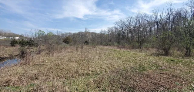 a view of a dry yard with trees