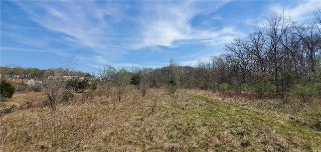 a view of a yard with a tree in the background