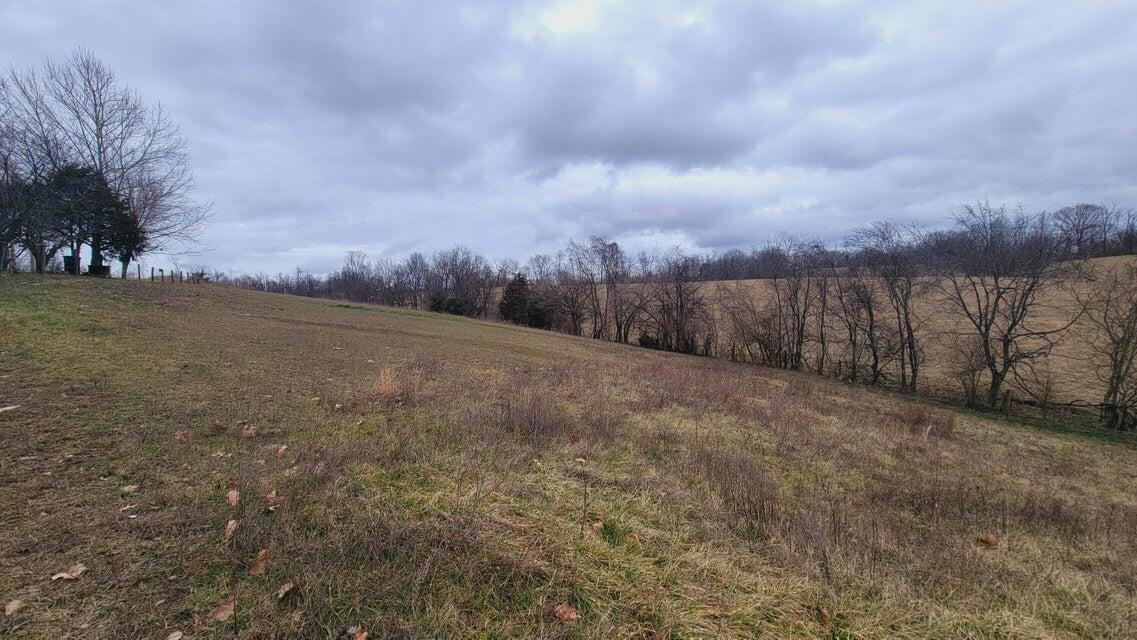 572 Butler Branch Road Flemingsburg, KY 41041 - Photo 30 of 34 Side Pasture 2