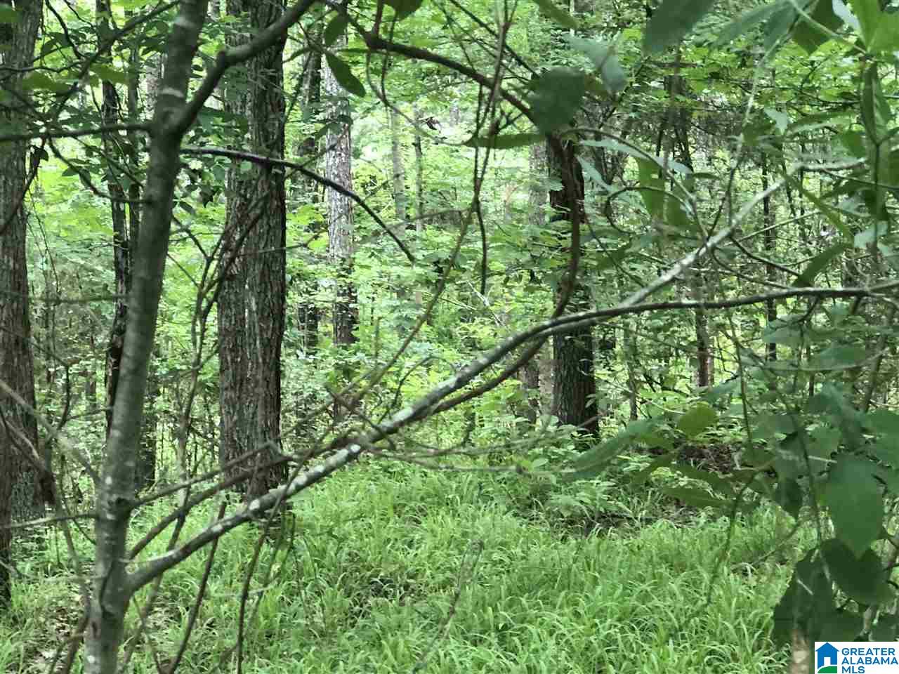 0 Maple Crest Lane Hayden, AL 35079 - Photo 20 of 30