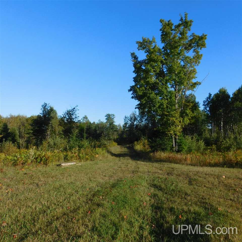 Tbd Off Murray Road Perronville, MI 49873 - Photo 19 of 27