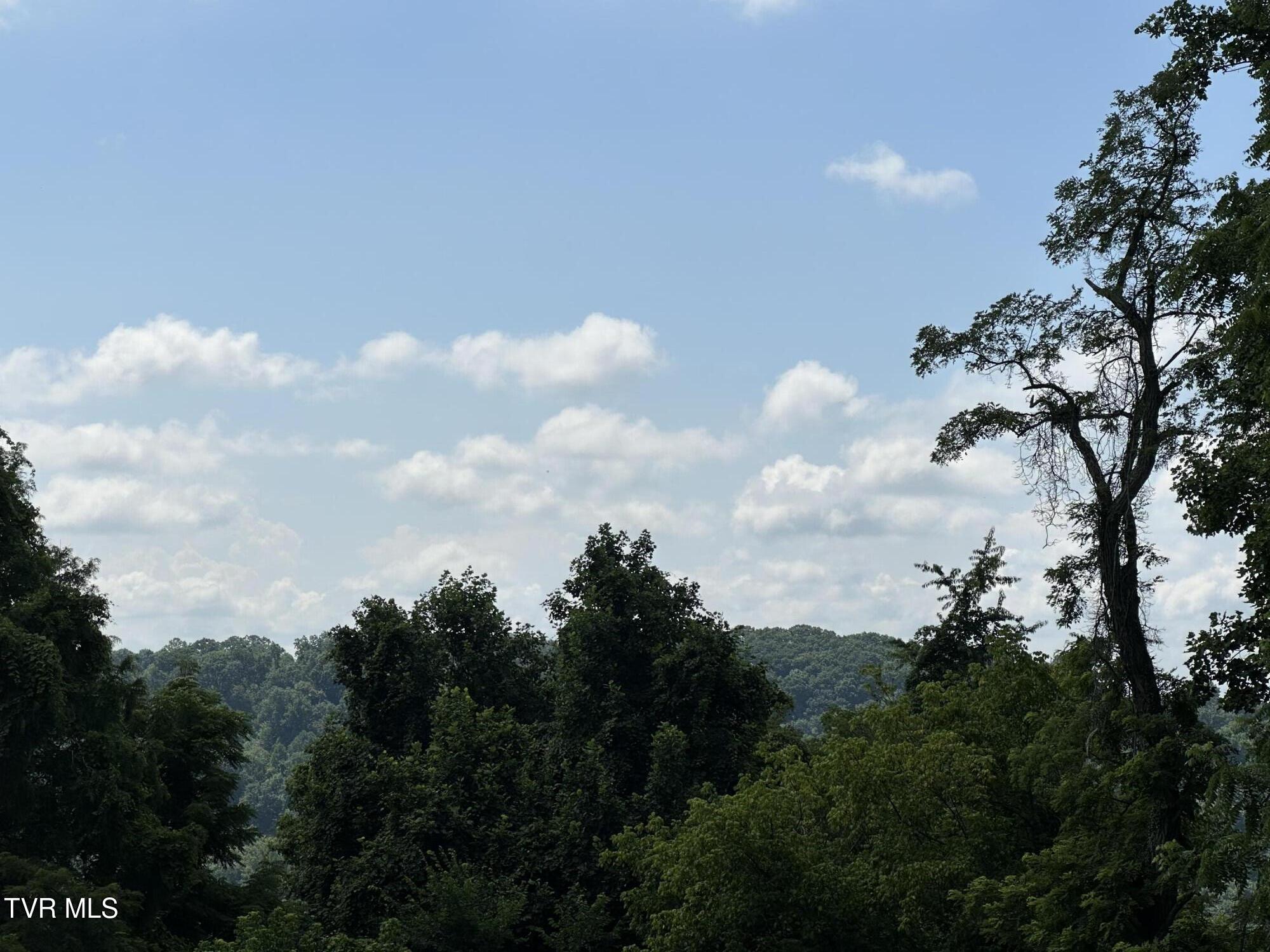 4617 Old Stage Road Kingsport, TN 37664 - Photo 82 of 122 VIEW FROM BACK DECK