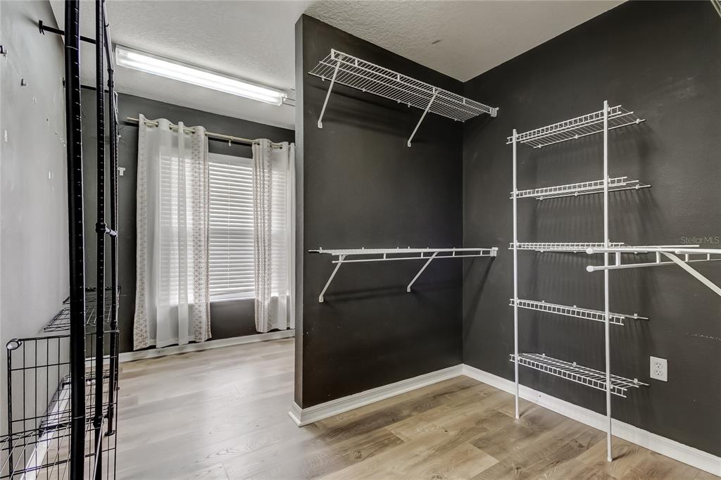 6019 Cape Loop Land O' Lakes, FL 34639 - Photo 22 of 67