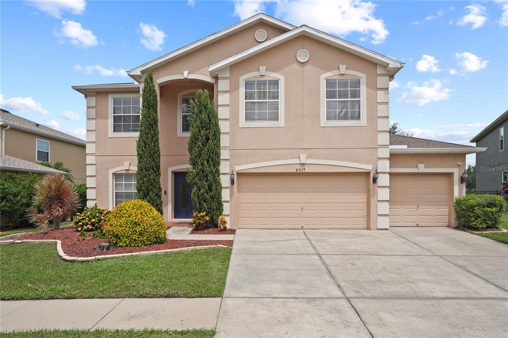 6019 Cape Loop Land O' Lakes, FL 34639 - Photo 26 of 67