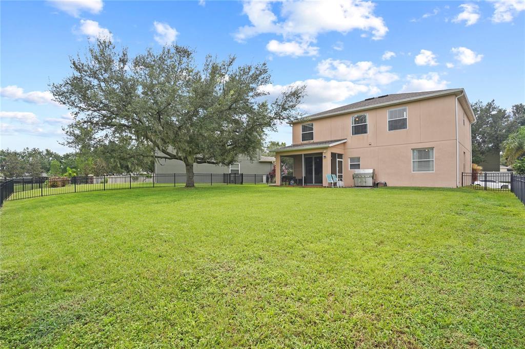 6019 Cape Loop Land O' Lakes, FL 34639 - Photo 27 of 67