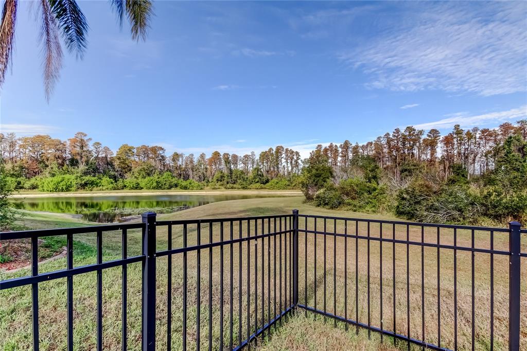 6019 Cape Loop Land O' Lakes, FL 34639 - Photo 28 of 67