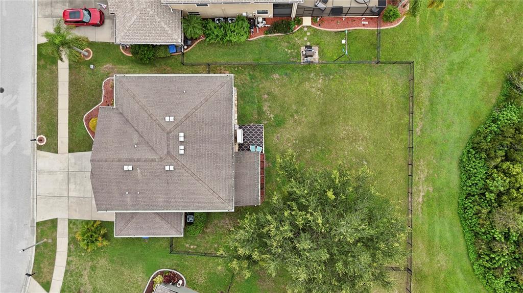 6019 Cape Loop Land O' Lakes, FL 34639 - Photo 29 of 67