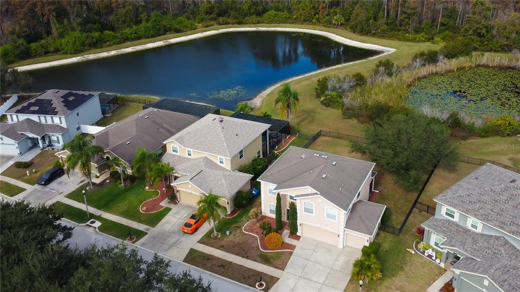 6019 Cape Loop Land O' Lakes, FL 34639 - Photo 30 of 67