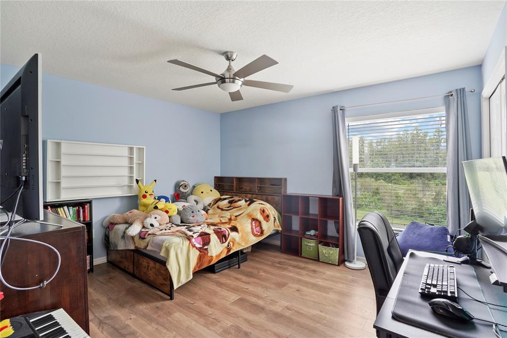 6019 Cape Loop Land O' Lakes, FL 34639 - Photo 37 of 67