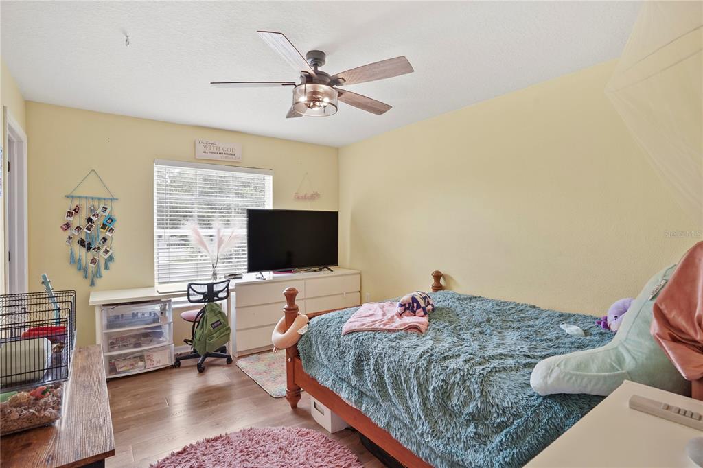 6019 Cape Loop Land O' Lakes, FL 34639 - Photo 40 of 67