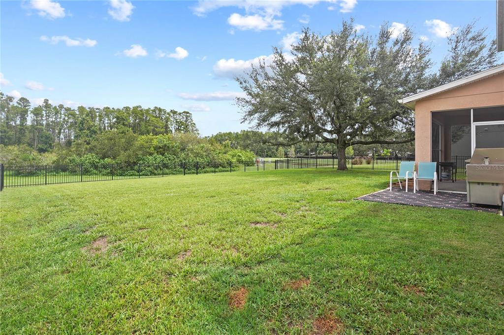 6019 Cape Loop Land O' Lakes, FL 34639 - Photo 45 of 67