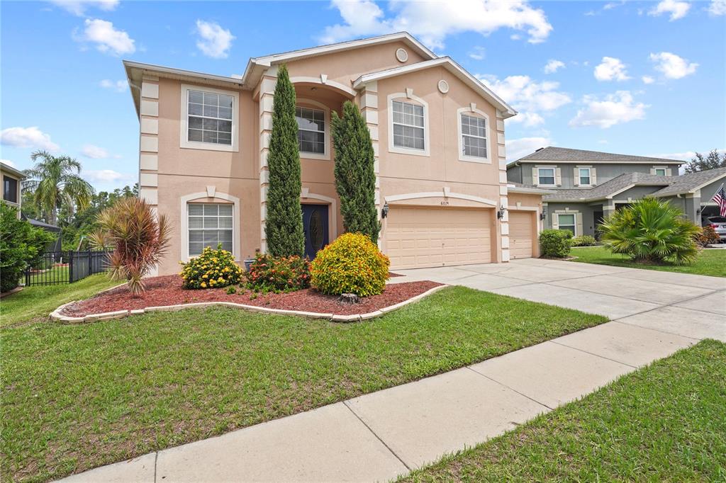 6019 Cape Loop Land O' Lakes, FL 34639 - Photo 46 of 67