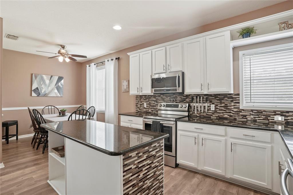 6019 Cape Loop Land O' Lakes, FL 34639 - Photo 49 of 67