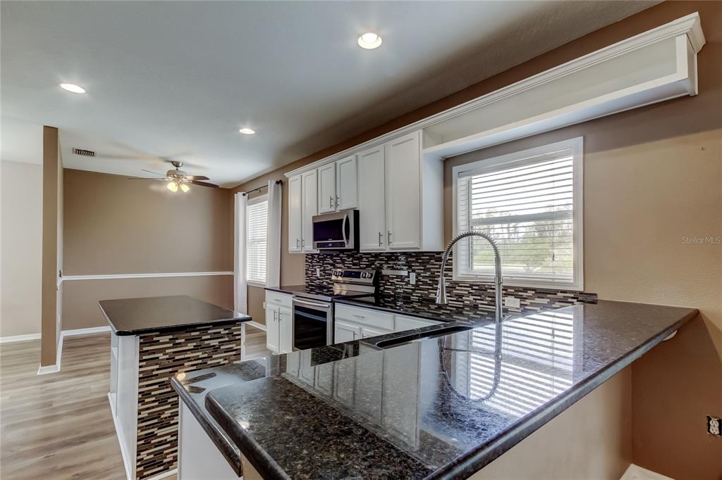 6019 Cape Loop Land O' Lakes, FL 34639 - Photo 51 of 67