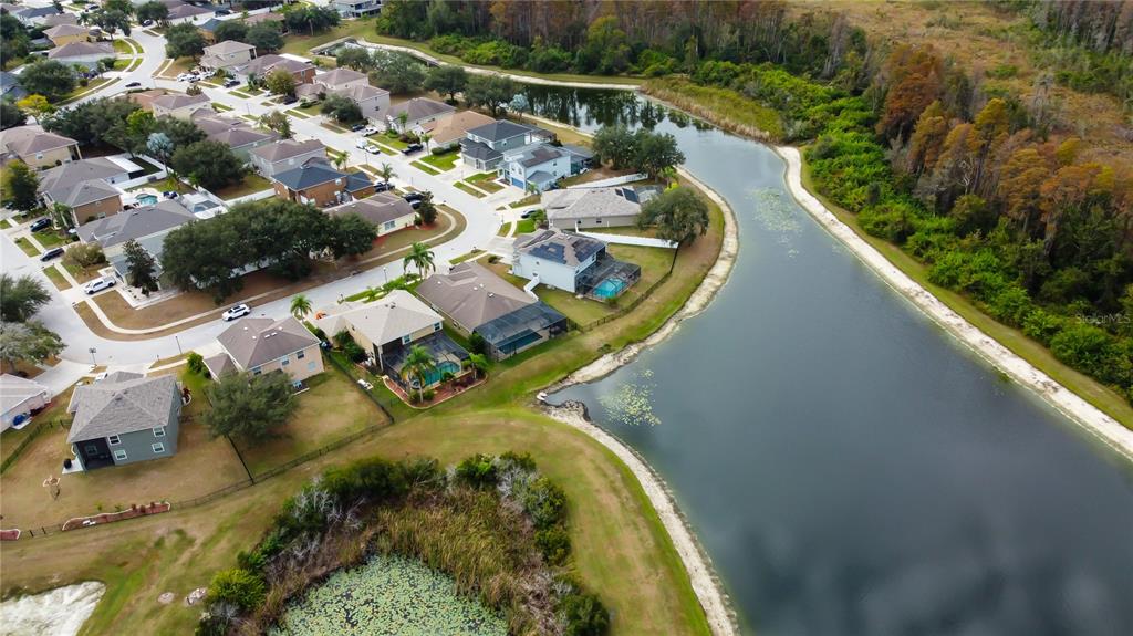 6019 Cape Loop Land O' Lakes, FL 34639 - Photo 53 of 67