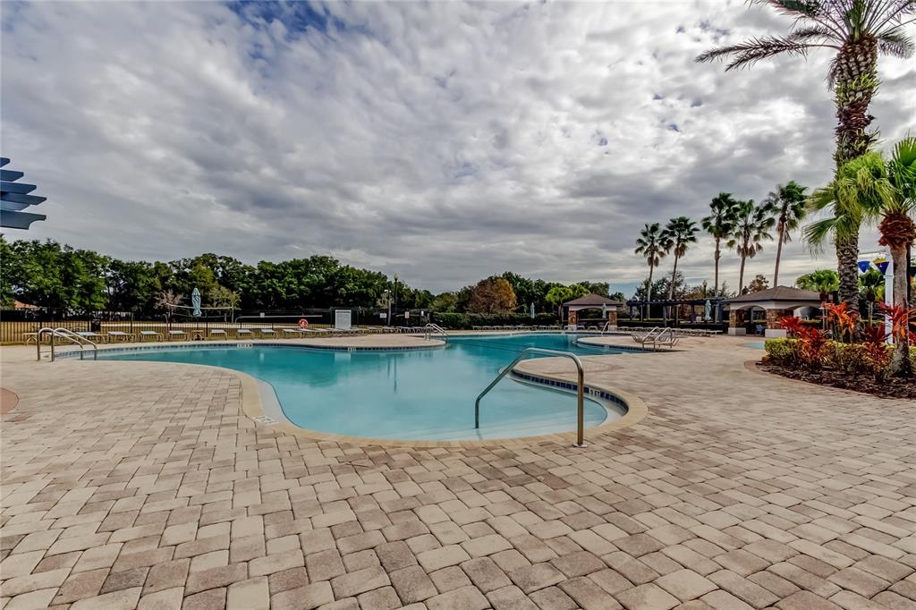 6019 Cape Loop Land O' Lakes, FL 34639 - Photo 59 of 67