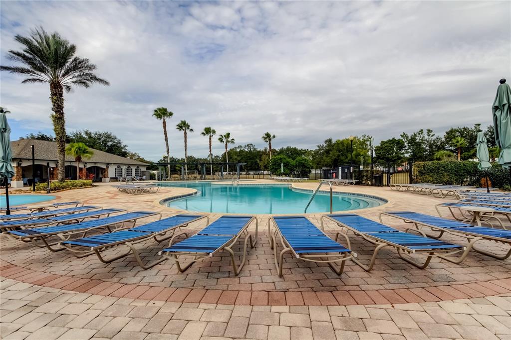 6019 Cape Loop Land O' Lakes, FL 34639 - Photo 60 of 67