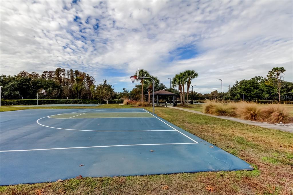 6019 Cape Loop Land O' Lakes, FL 34639 - Photo 63 of 67