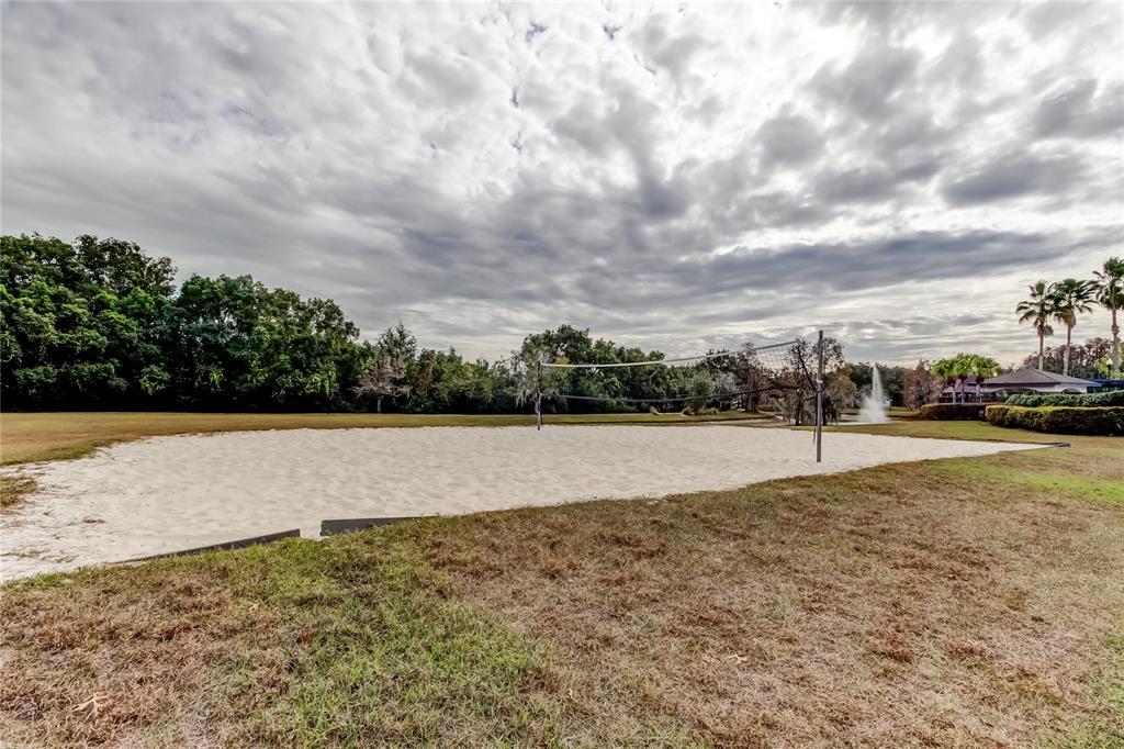 6019 Cape Loop Land O' Lakes, FL 34639 - Photo 65 of 67