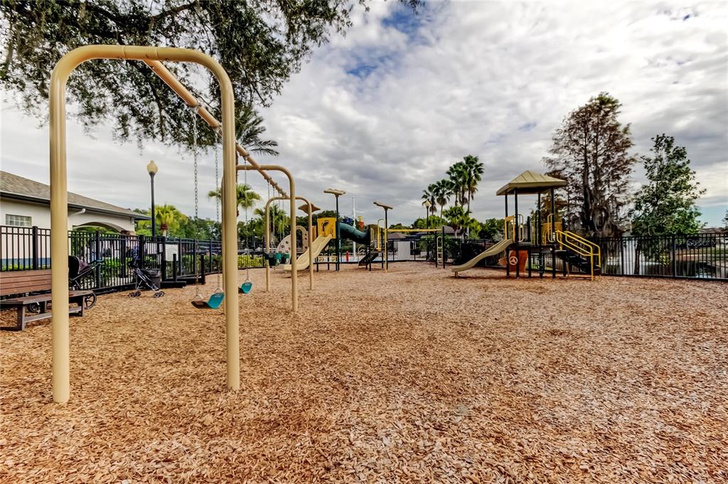 6019 Cape Loop Land O' Lakes, FL 34639 - Photo 66 of 67