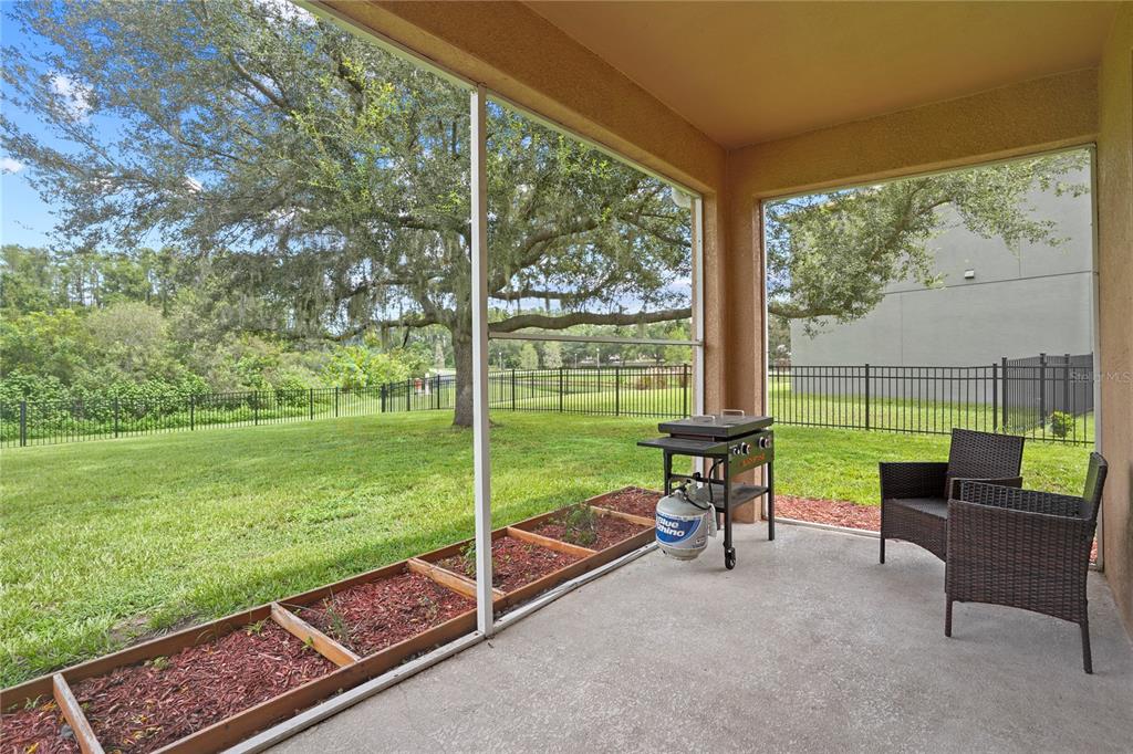 6019 Cape Loop Land O' Lakes, FL 34639 - Photo 8 of 67