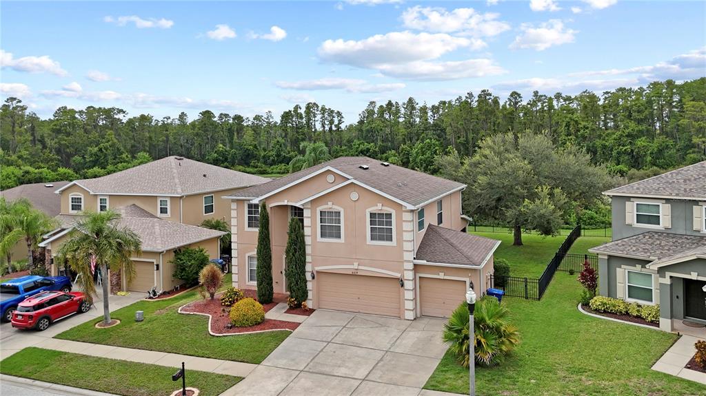 6019 Cape Loop Land O' Lakes, FL 34639 - Photo 10 of 67