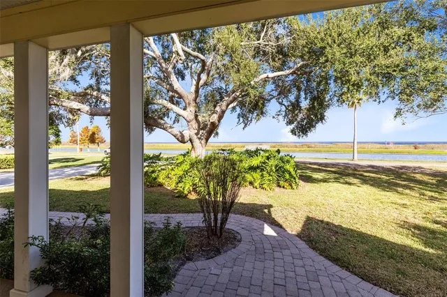 a view of a swimming pool with a yard