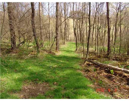 107 Hickory Lane Rural Valley, PA 16249 - Photo 8 of 10 Land.
